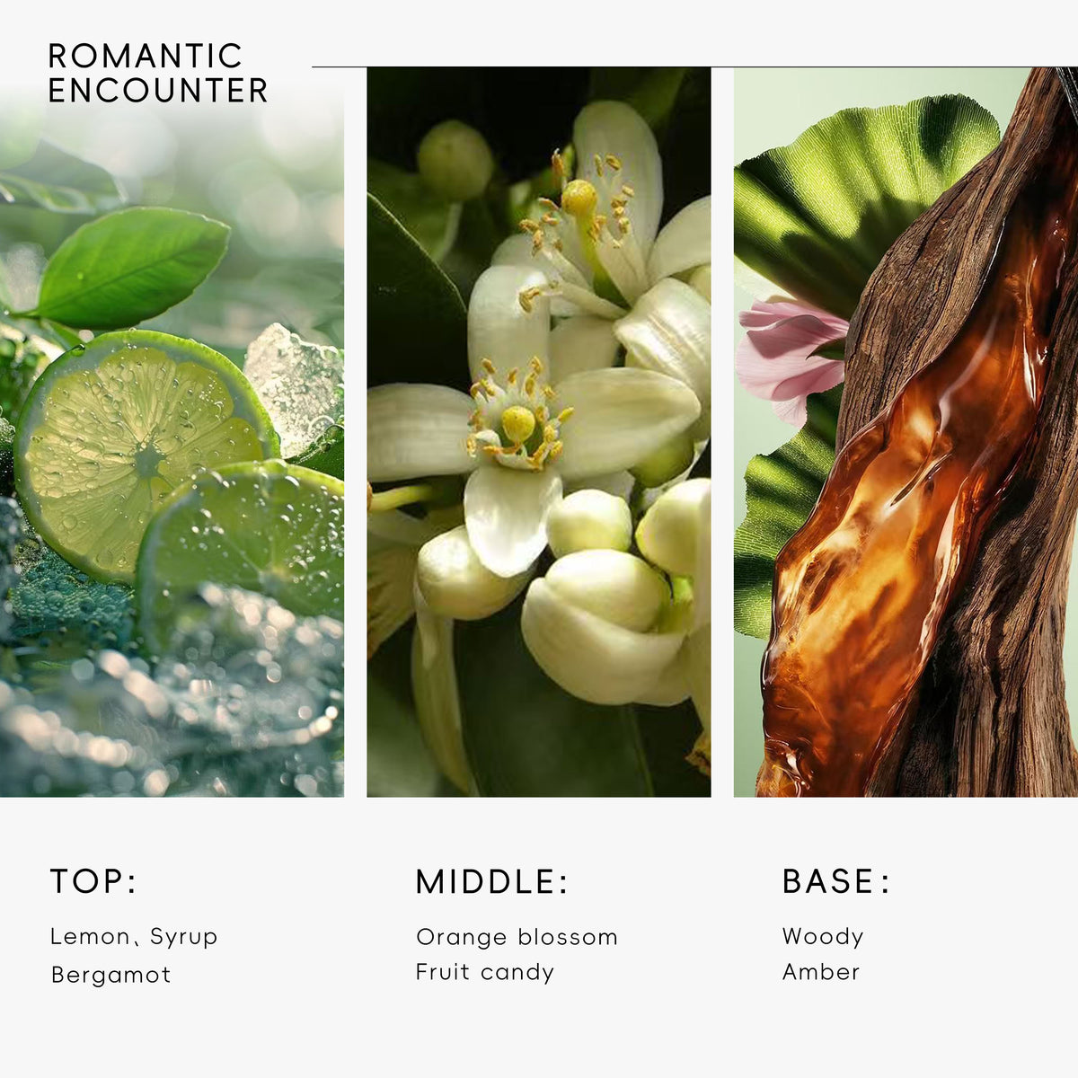 Hotel Diffuser Oil Romantic Encounter Scent
