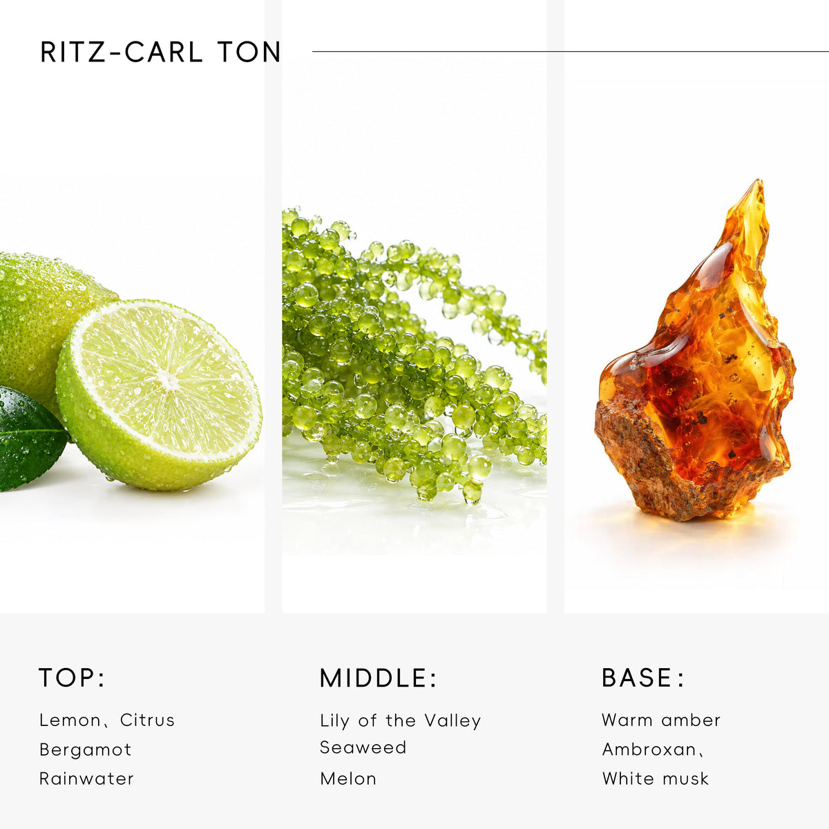Hotel Diffuser Oil Inspired by Ritz-Carlton Scent