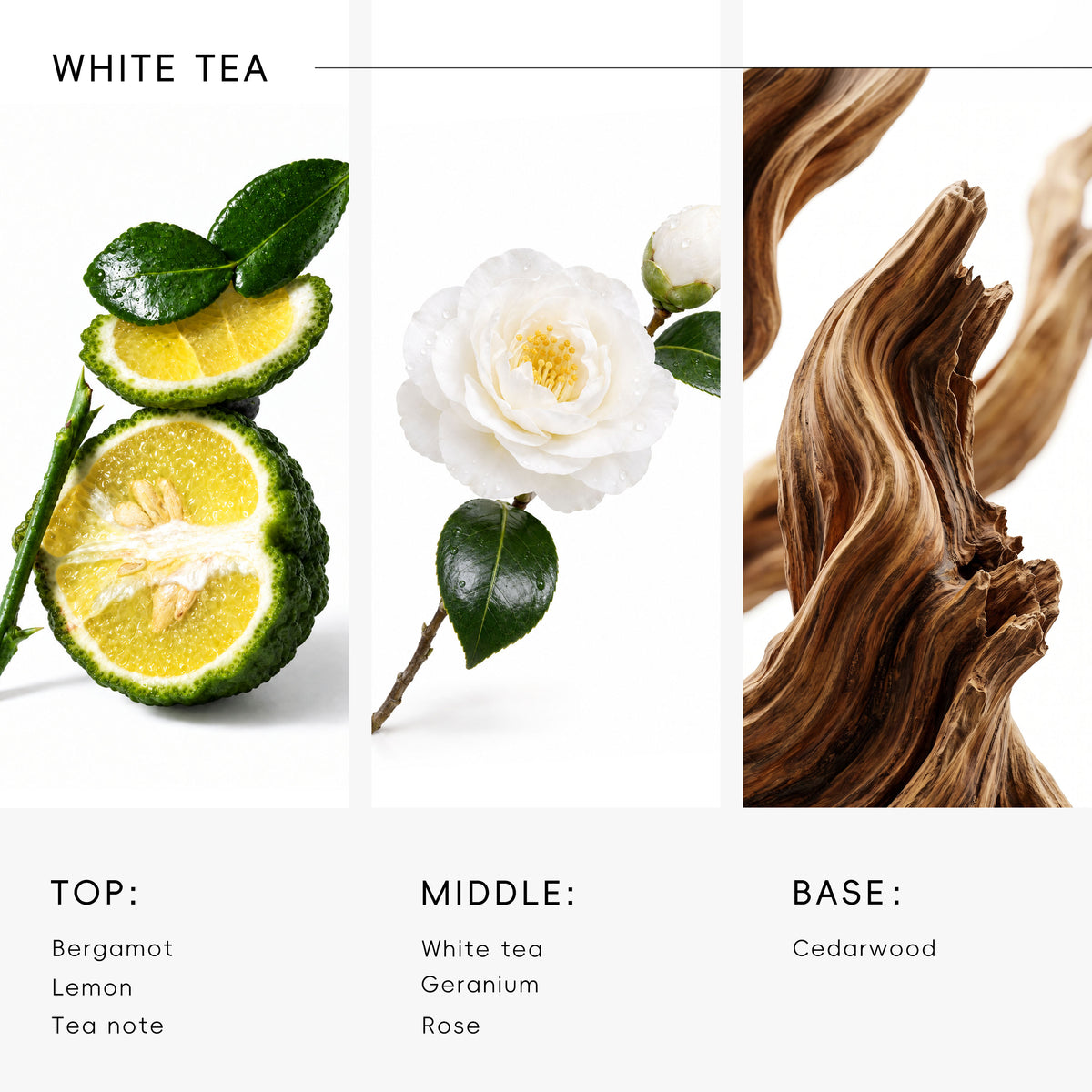 Hotel Diffuser Oil Inspired by White Tea Scent
